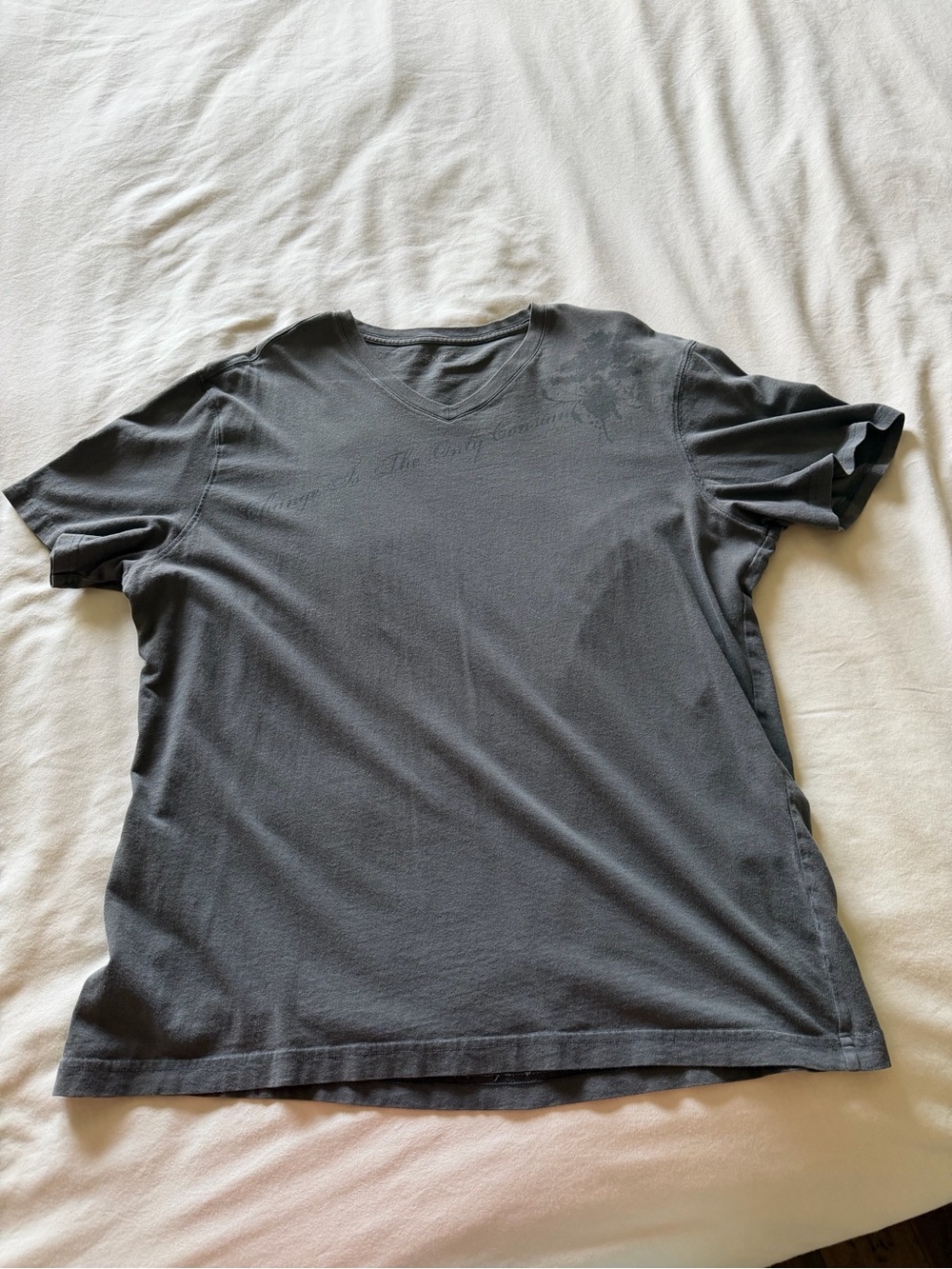 Express Men's Dark Gray V-Neck Short Sleeve Tee